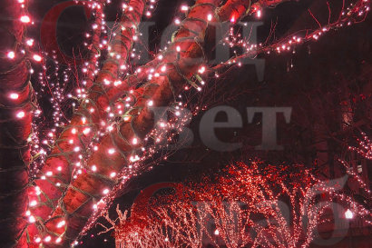 Гирлянда светодиодная для деревьев "Клип-лайт" 100м Красная. Нить белая